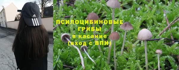 марки lsd Беломорск