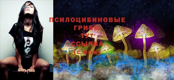 МДПВ Белоозёрский