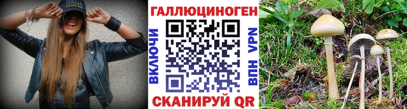 Галлюциногенные грибы Psilocybe Кукмор